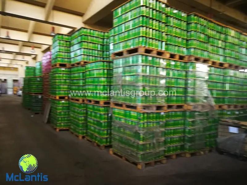 McLantis Tincan CTP Machine Installed in Cairo Egypt