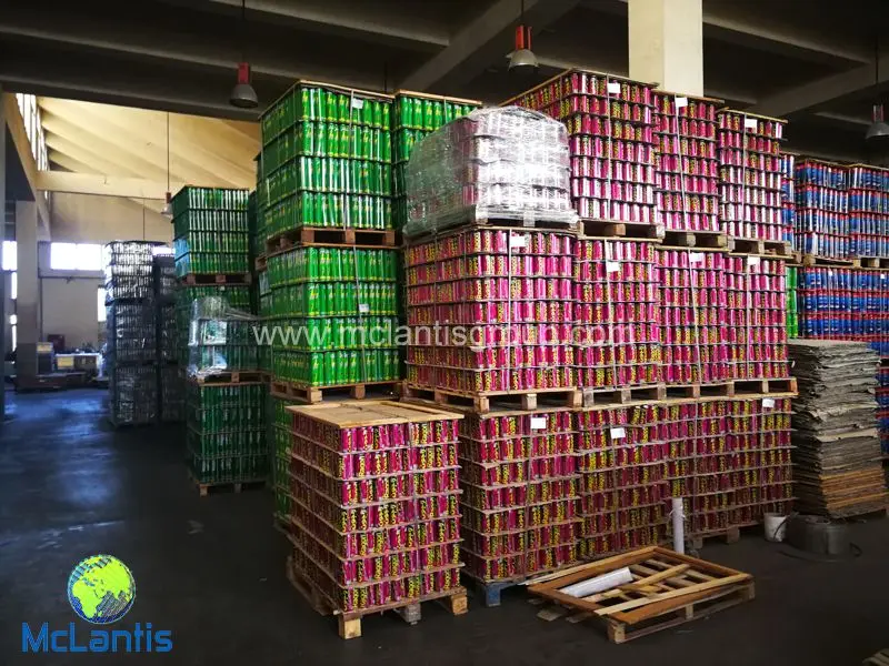 McLantis Tincan CTP Machine Installed in Cairo Egypt
