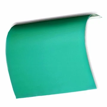 Negative CTCP Plate