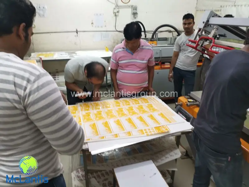 McLantis 6350DPI High Resolution CTS Machine Installed in Jaipur India