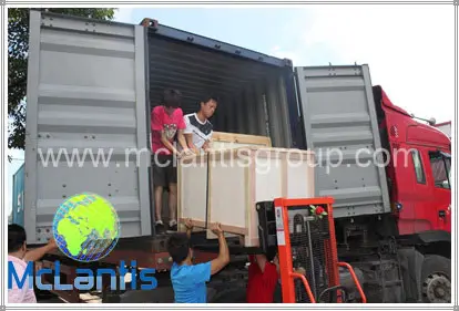 Hot Summer hot selling McLantis CTP